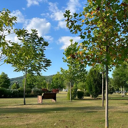Vila Cu Mesteceni Cimpina Εξωτερικό φωτογραφία